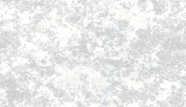 wp9_wpe9ab70bc-5.png